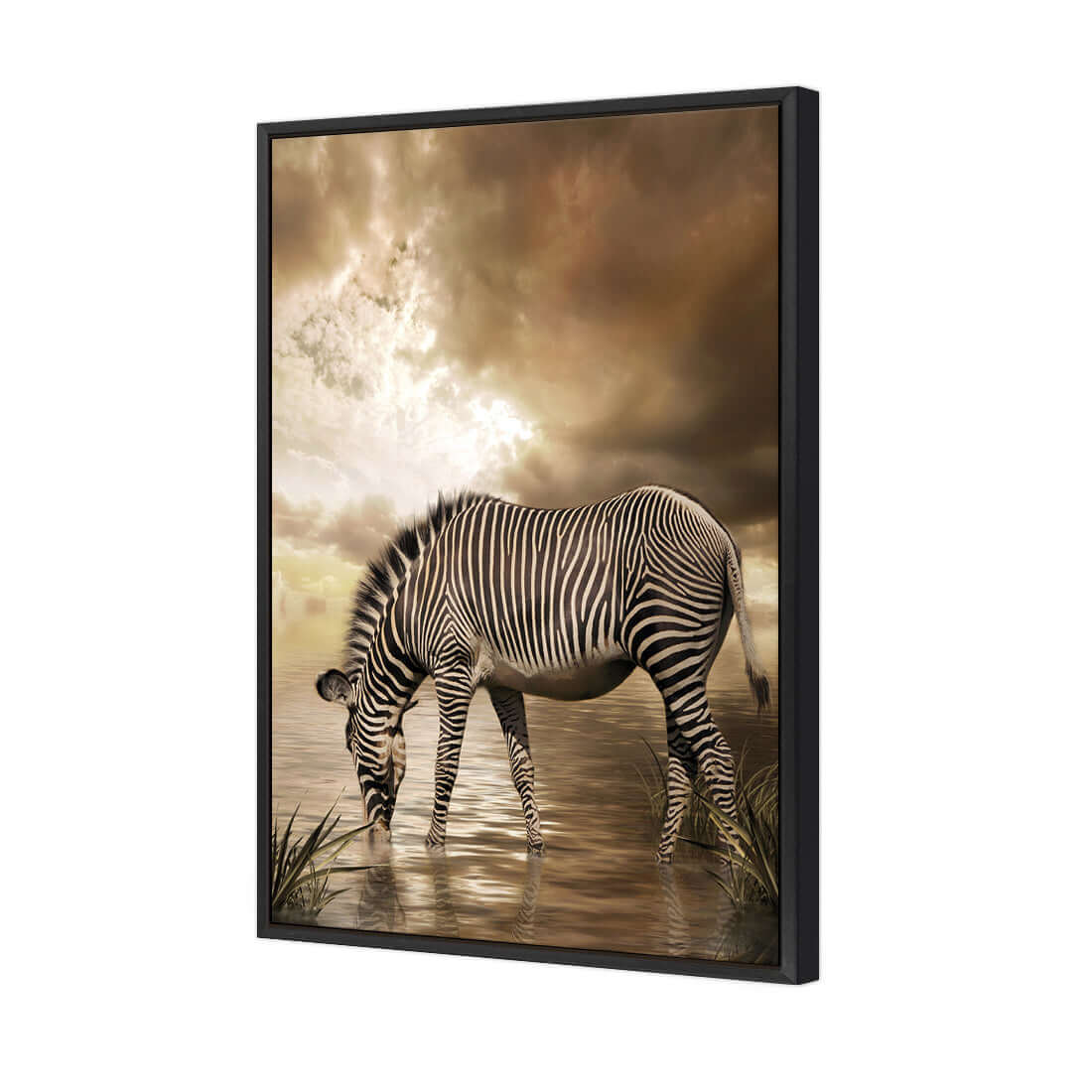 Zebra in Clouds - Wall Art Designs - 1415_AR_V WAD_CP - MPY - 260 - M - S - S_45x30_S - 1550 - BLK