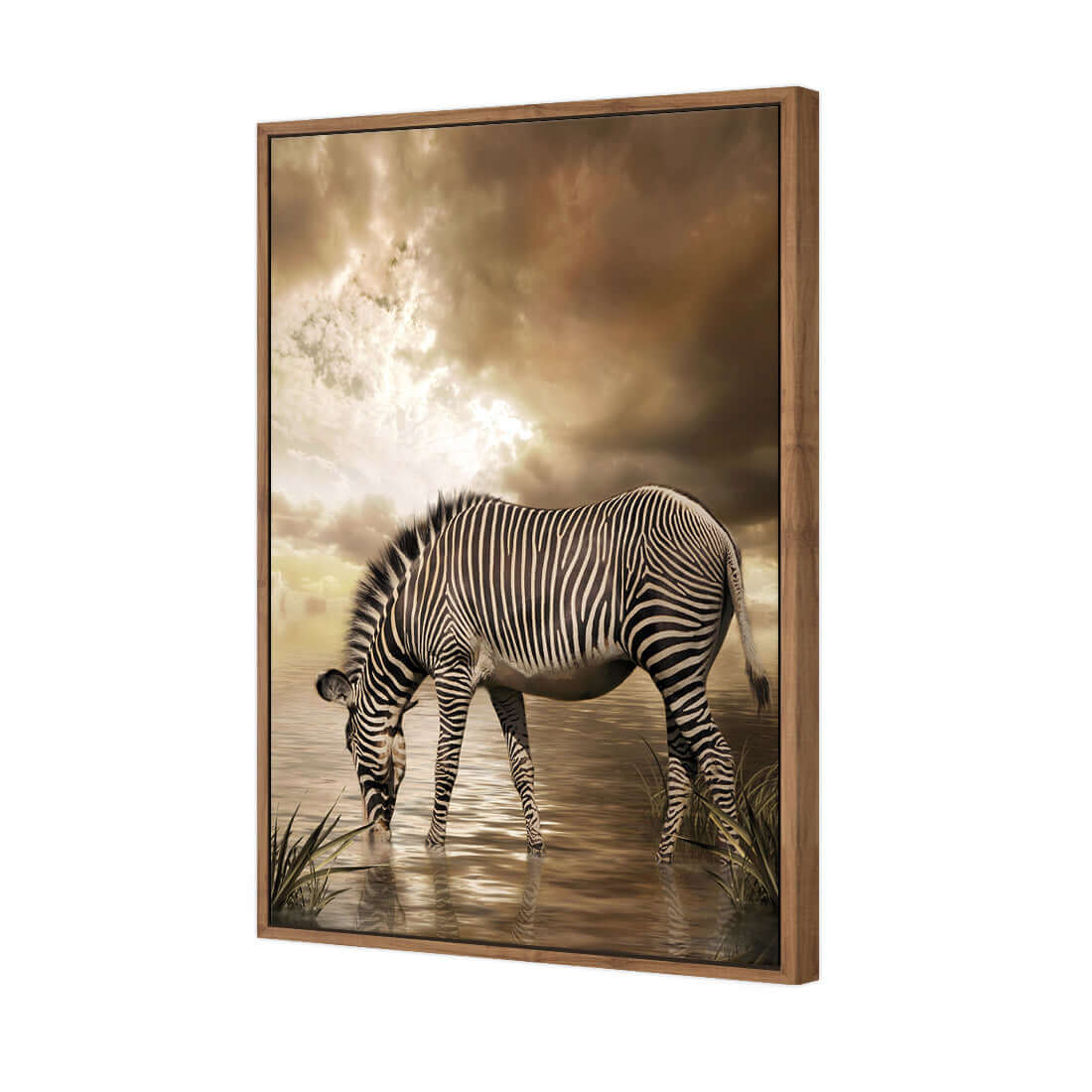 Zebra in Clouds - Wall Art Designs - 1415_AR_V WAD_CP - MPY - 260 - M - S - S_45x30_S - 1550 - NAT