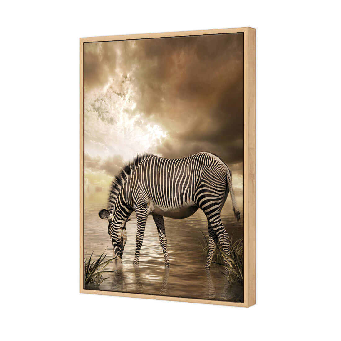 Zebra in Clouds - Wall Art Designs - 1415_AR_V WAD_CP - MPY - 260 - M - S - S_45x30_S - 1550 - OAK