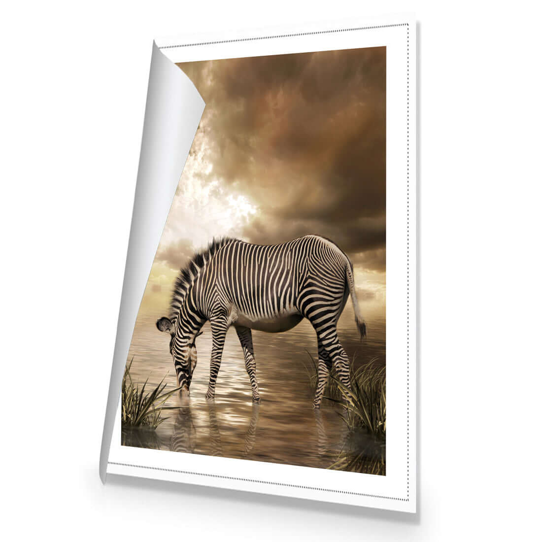 Zebra in Clouds - Wall Art Designs - 1415_AR_V WAD_CP - MPY - 260 - M - R_45x30_NONE