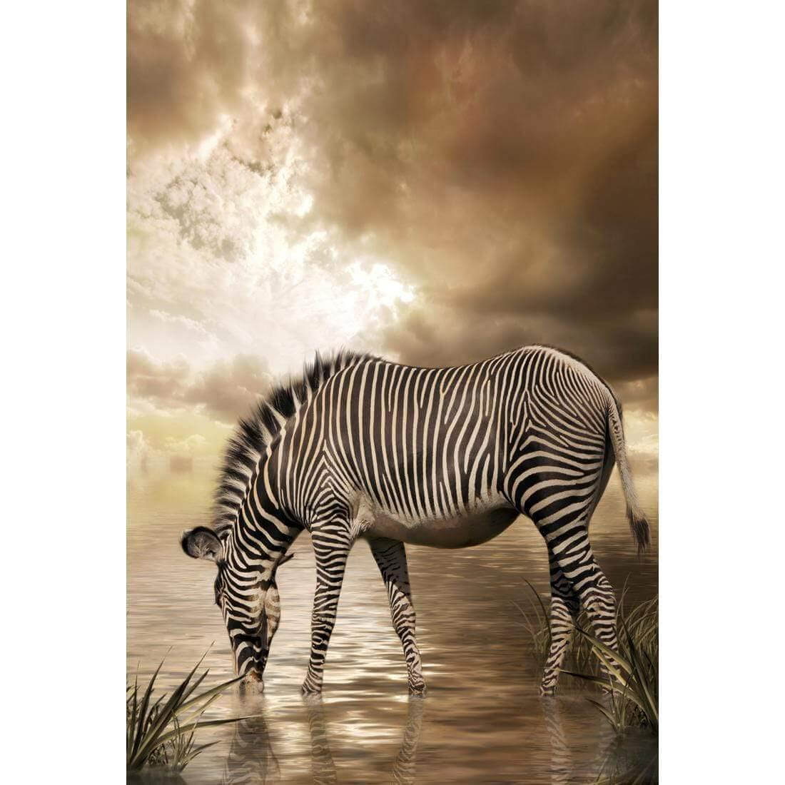 Zebra in Clouds - Wall Art Designs - 1415_AR_V WAD_CP - MPY - 260 - M - S - S_45x30_NONE