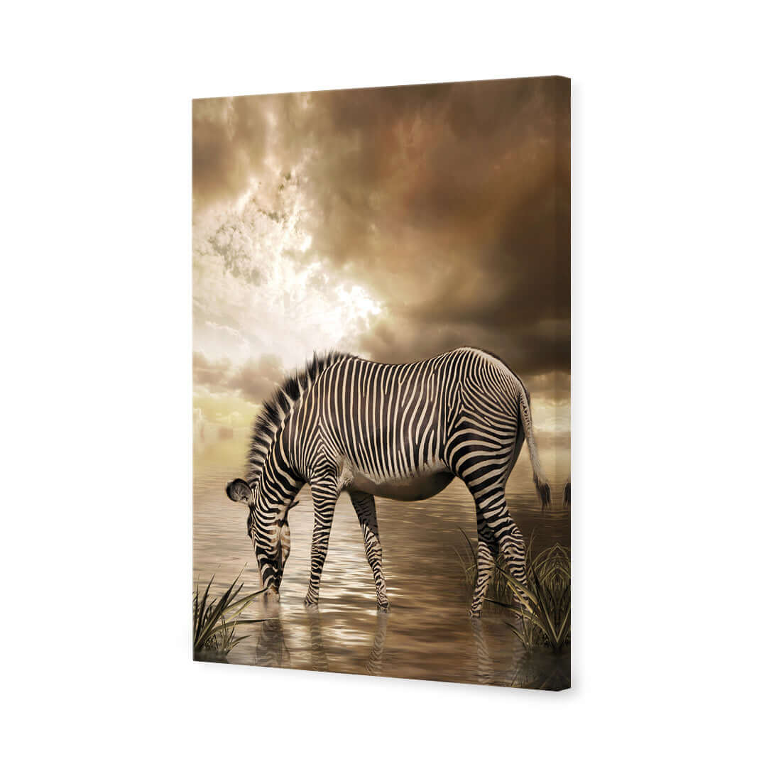 Zebra in Clouds - Wall Art Designs - 1415_AR_V WAD_CP - MPY - 260 - M - S - S_45x30_NONE