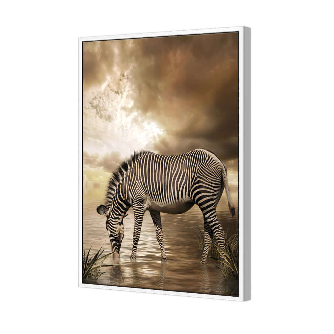 Zebra in Clouds - Wall Art Designs - 1415_AR_V WAD_CP - MPY - 260 - M - S - S_45x30_S - 1550 - WHT