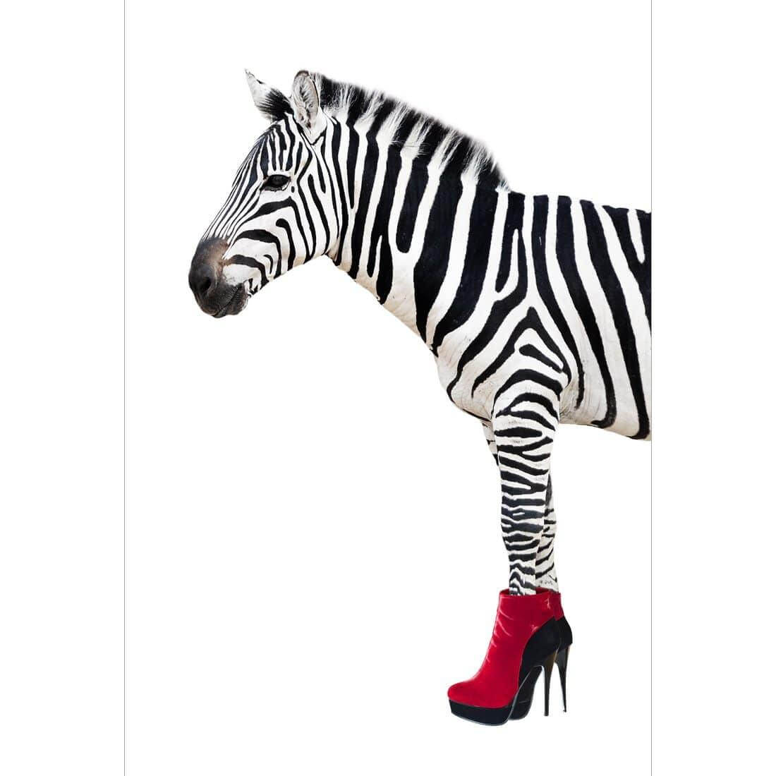 Zebra In Red Boots - Wall Art Designs - 256_DR_V WAD_CP - MPY - 260 - M - S - S_45x30_NONE