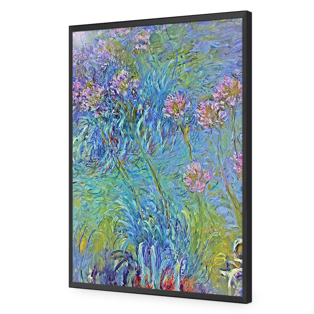 Monet Agapanthus - Acrylic Glass Print 
