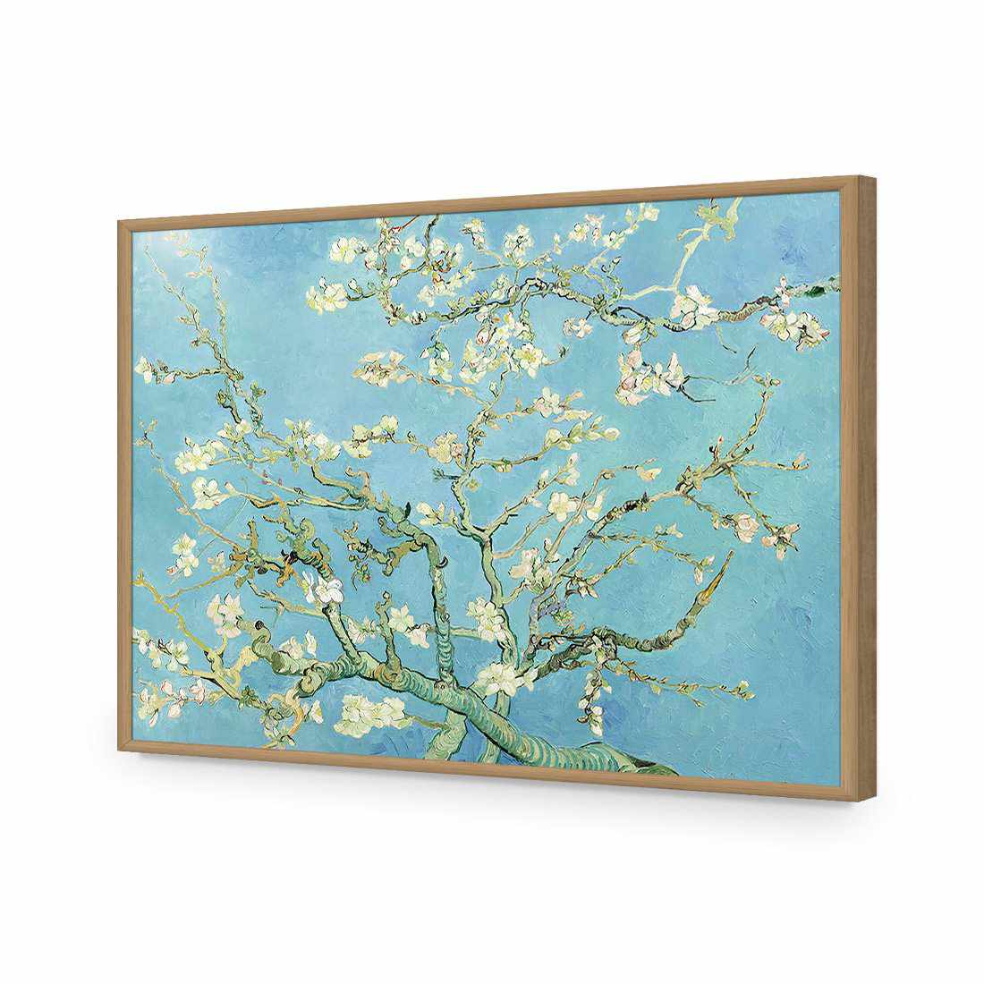 Blossoming Almond Tree - Van Gogh-Acrylic-Wall Art Design-Without Border-Acrylic - Oak Frame-45x30cm-Wall Art Designs
