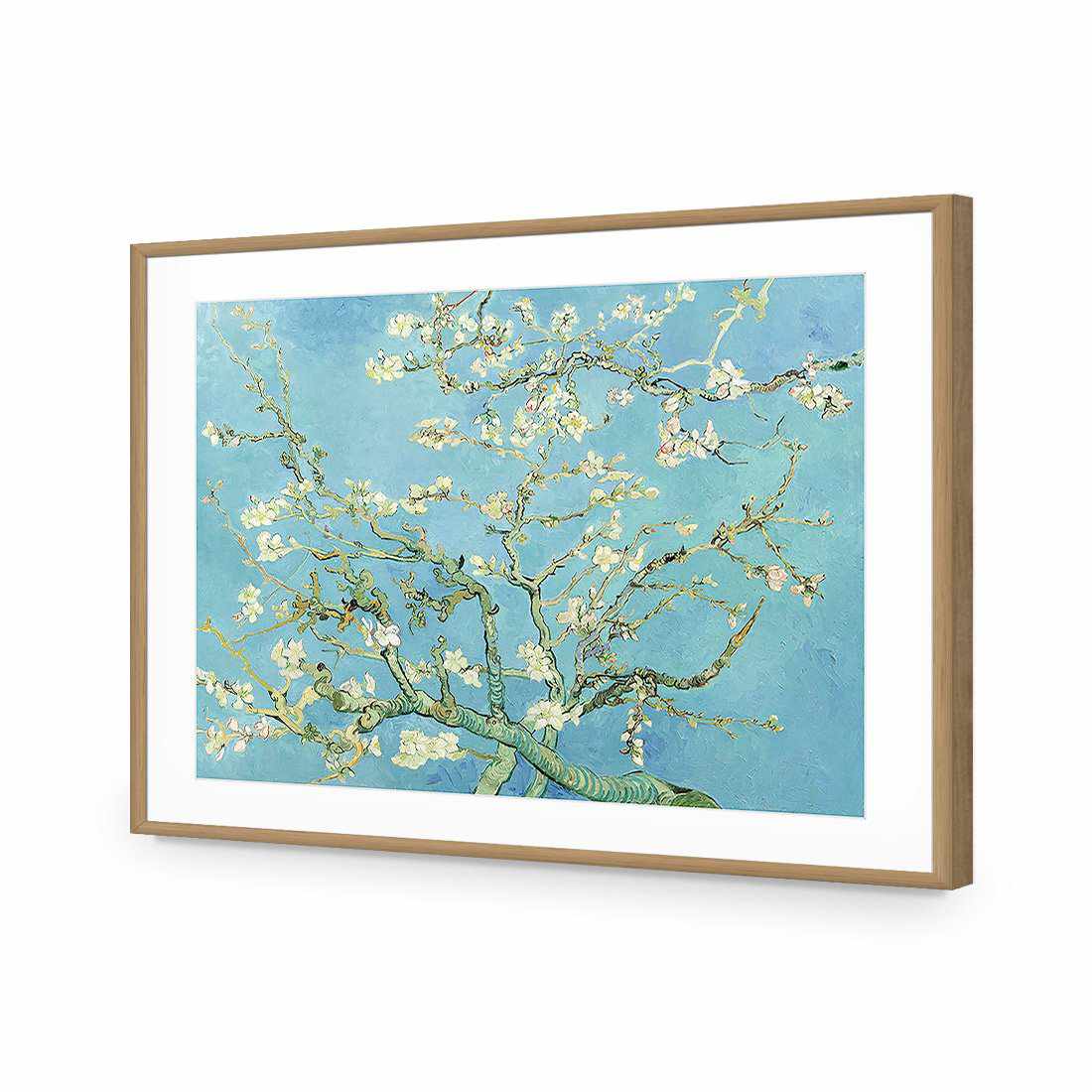 Blossoming Almond Tree - Van Gogh-Acrylic-Wall Art Design-With Border-Acrylic - Oak Frame-45x30cm-Wall Art Designs