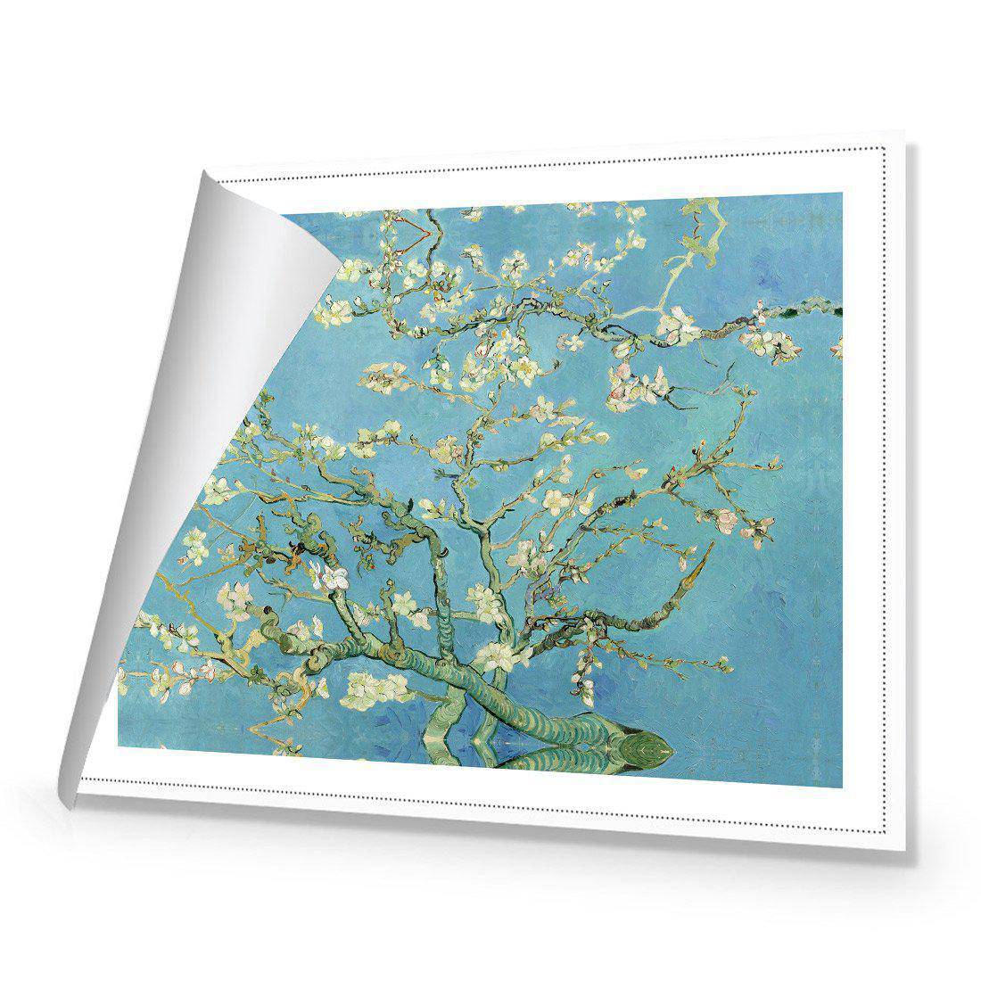 Blossoming Almond Tree by Van Gogh Canvas Art-Canvas-Wall Art Designs-45x30cm-Rolled Canvas-Wall Art Designs