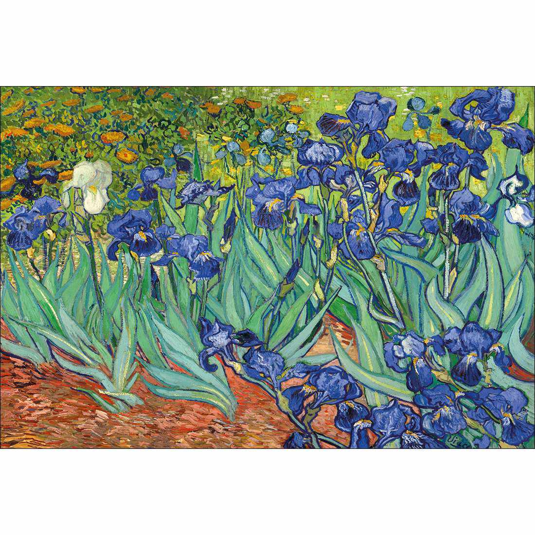 Irises 2 - Van Gogh Canvas Art-Canvas-Wall Art Designs-45x30cm-Canvas - No Frame-Wall Art Designs