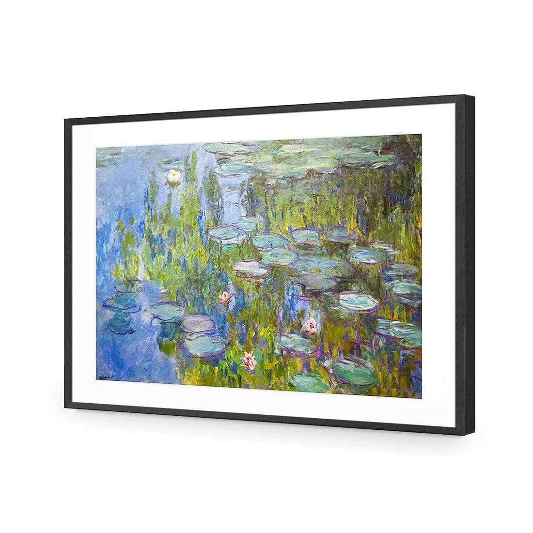 Sea Roses - Monet-Acrylic-Wall Art Design-With Border-Acrylic - Black Frame-45x30cm-Wall Art Designs