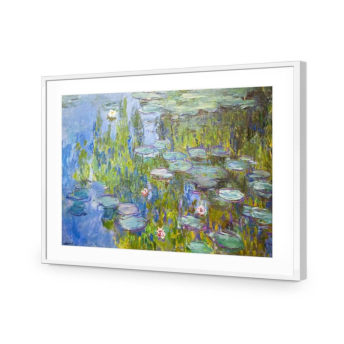 Sea Roses - Monet-Acrylic-Wall Art Design-With Border-Acrylic - White Frame-45x30cm-Wall Art Designs