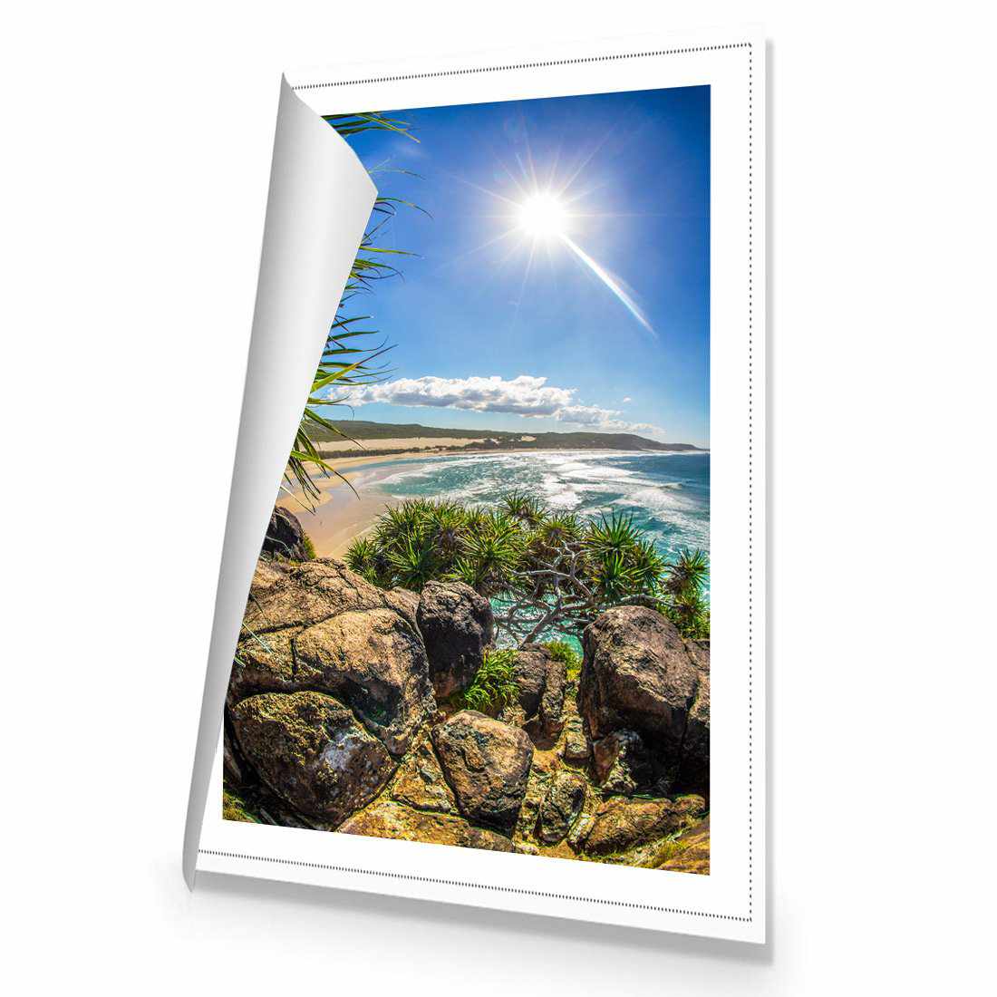 Pandanus On Fraser | Classic Canvas | No Frame | Rolled Canvas