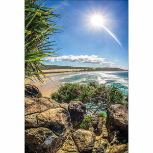 Pandanus On Fraser