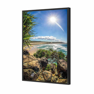Pandanus On Fraser | Classic Canvas | Floating Frame | Black
