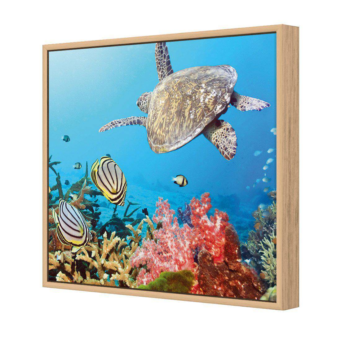 Coral Sea, Square Canvas Art-Canvas-Wall Art Designs-30x30cm-Canvas - Oak Frame-Wall Art Designs