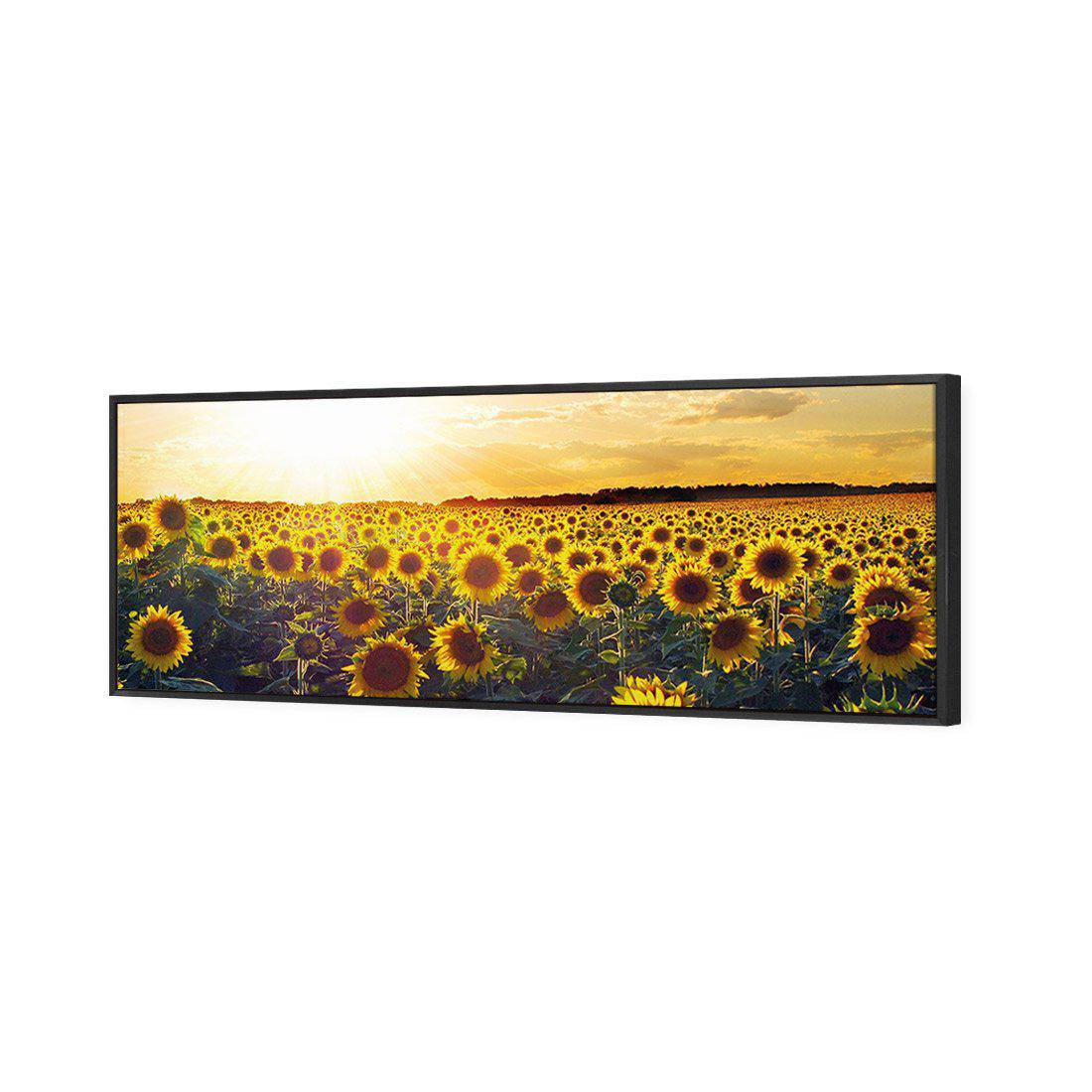 Sunflowers At Sunset Canvas Art-Canvas-Wall Art Designs-60x20cm-Canvas - Black Frame-Wall Art Designs
