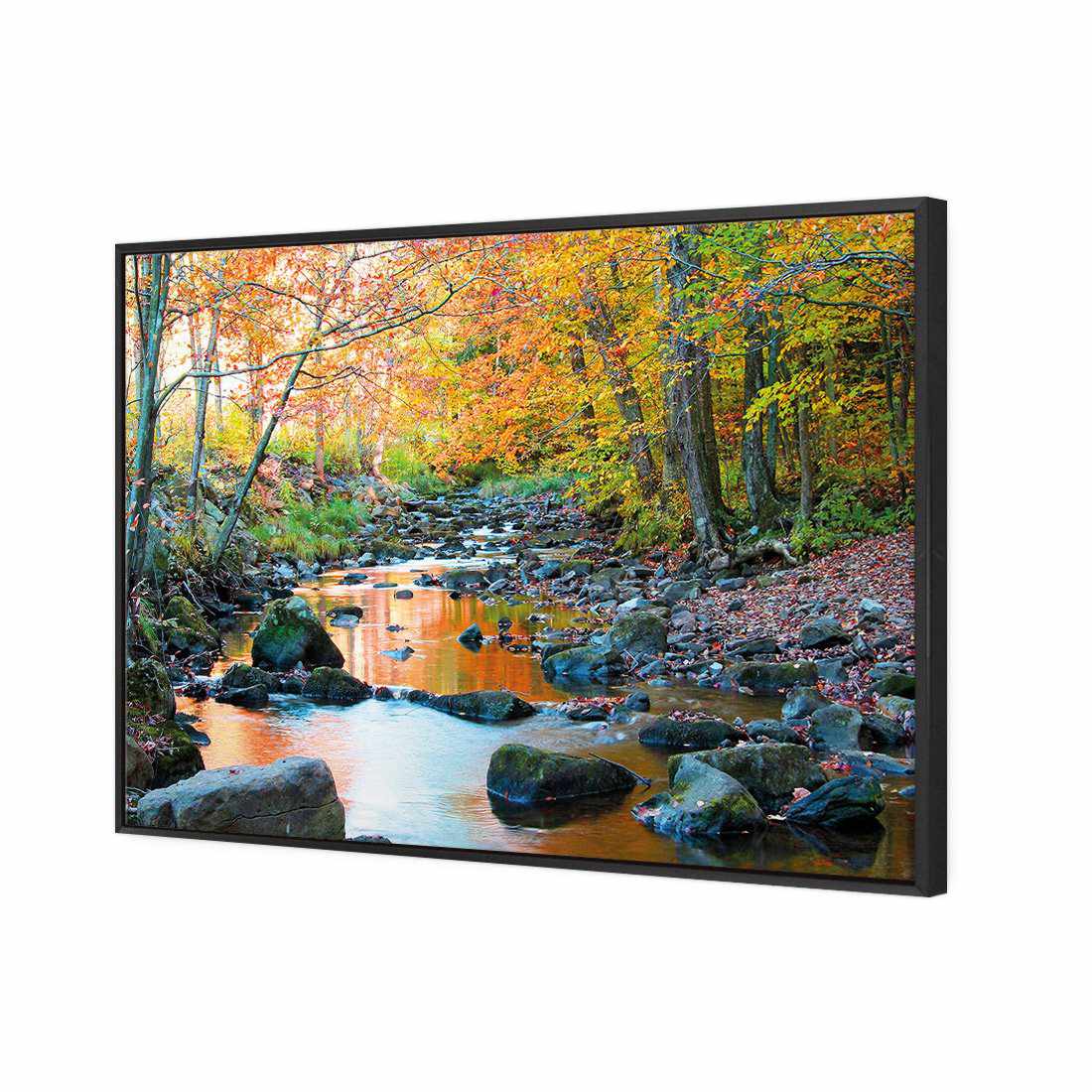 Forest Stream Canvas Art-Canvas-Wall Art Designs-45x30cm-Canvas - Black Frame-Wall Art Designs