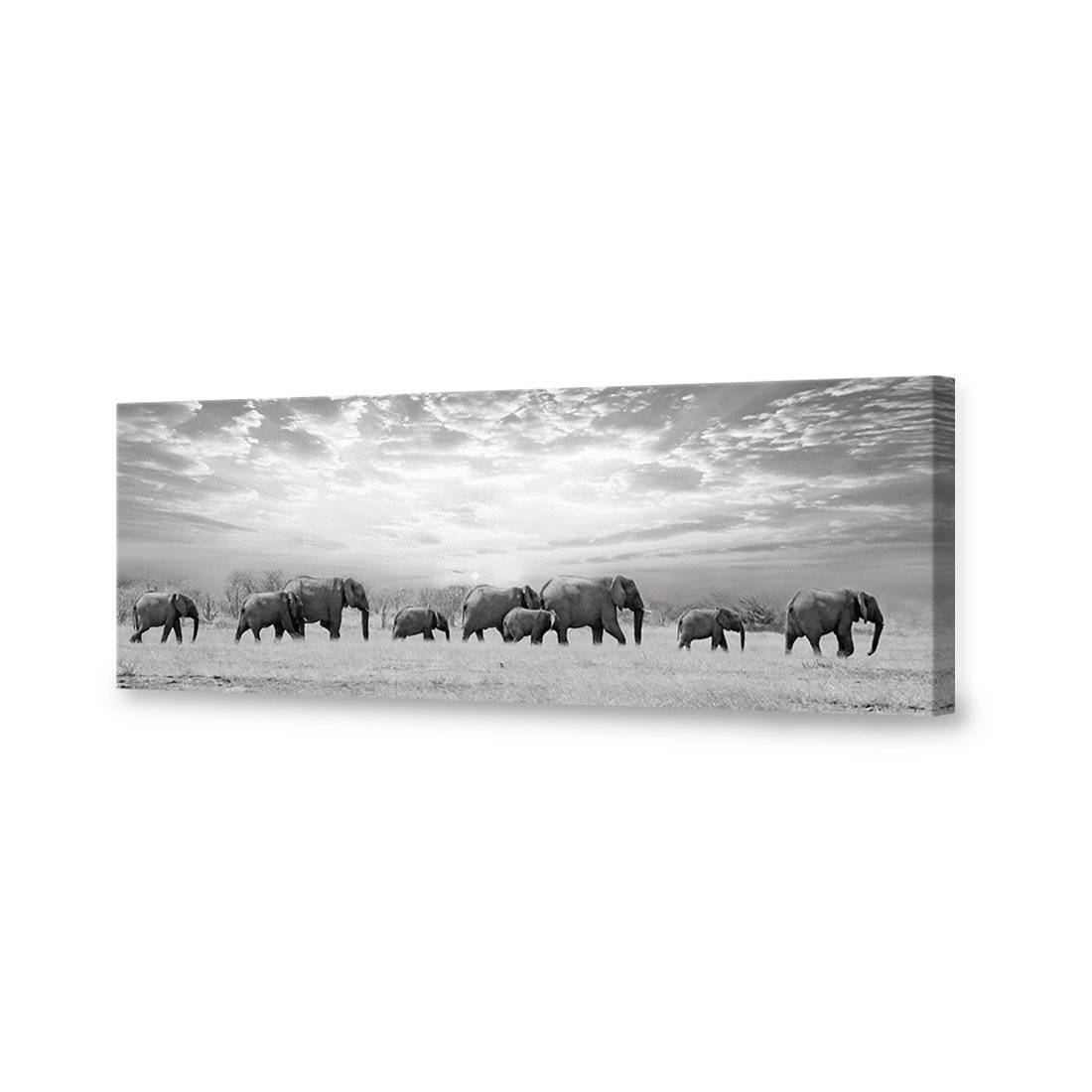 Elephant Trail, B&W Canvas Art-Canvas-Wall Art Designs-60x20cm-Canvas - No Frame-Wall Art Designs