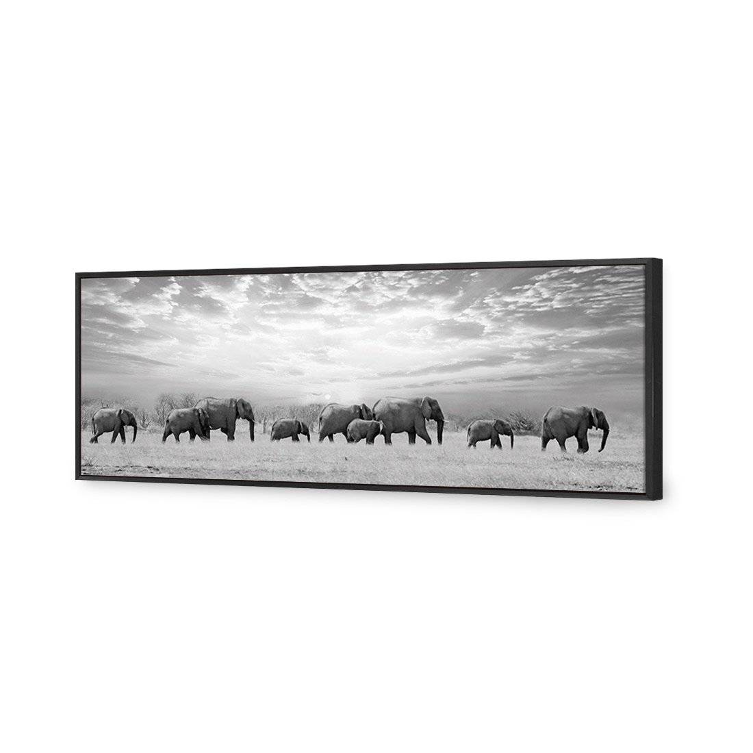 Elephant Trail, B&W Canvas Art-Canvas-Wall Art Designs-60x20cm-Canvas - Black Frame-Wall Art Designs