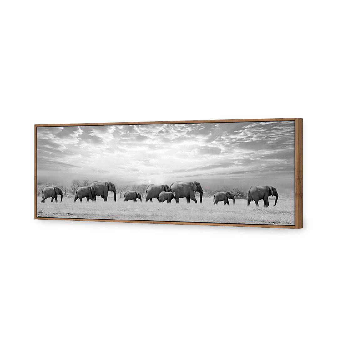Elephant Trail, B&W Canvas Art-Canvas-Wall Art Designs-60x20cm-Canvas - Natural Frame-Wall Art Designs