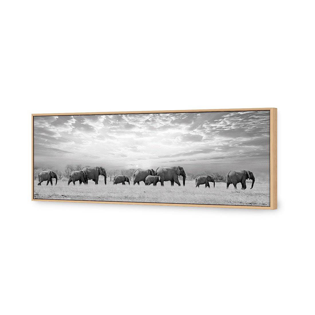 Elephant Trail, B&W Canvas Art-Canvas-Wall Art Designs-60x20cm-Canvas - Oak Frame-Wall Art Designs