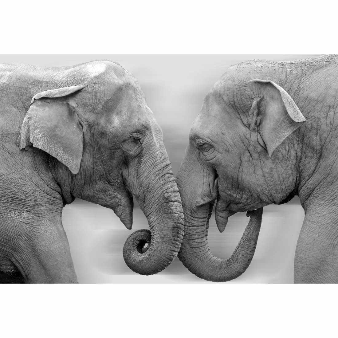 Elephants Kissing, B&W Canvas Art-Canvas-Wall Art Designs-45x30cm-Canvas - No Frame-Wall Art Designs