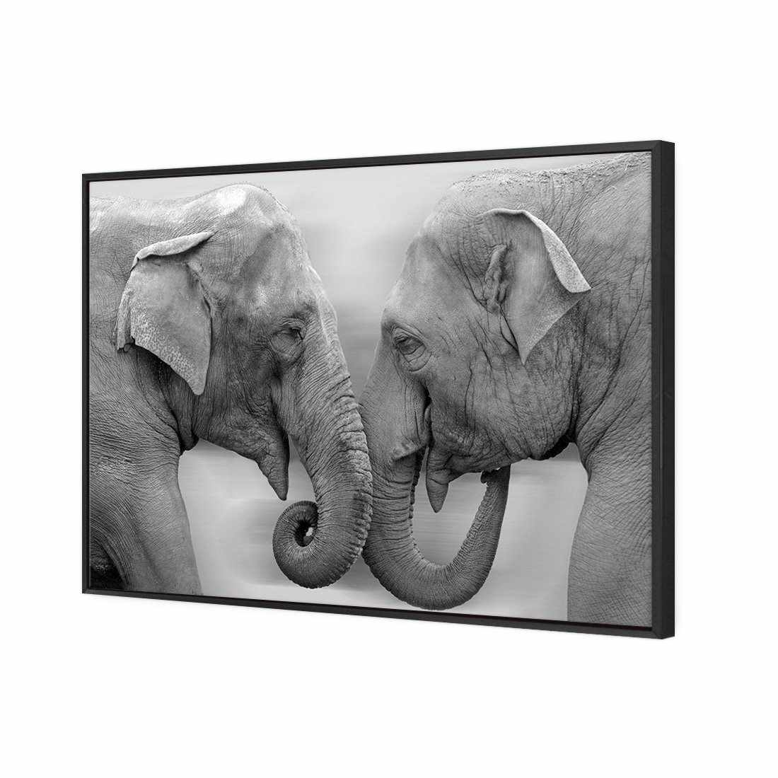 Elephants Kissing, B&W | Classic Canvas | Floating Frame | Black