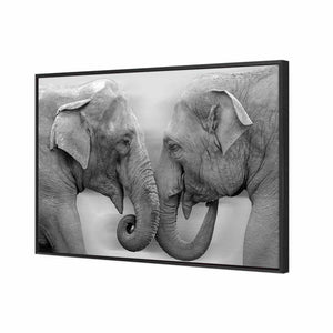 Elephants Kissing, B&W | Classic Canvas | Floating Frame | Black