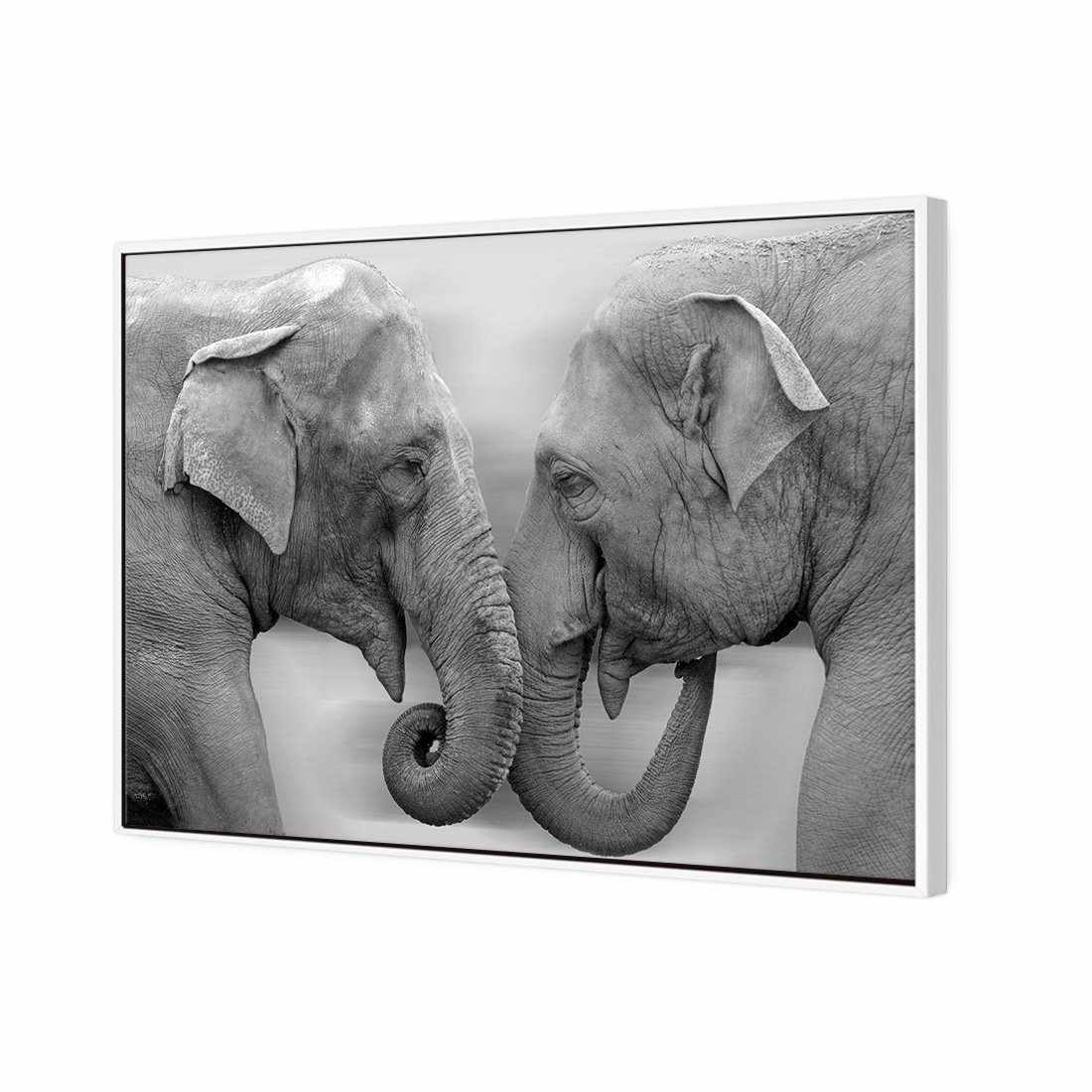 Elephants Kissing, B&W Canvas Art-Canvas-Wall Art Designs-45x30cm-Canvas - White Frame-Wall Art Designs