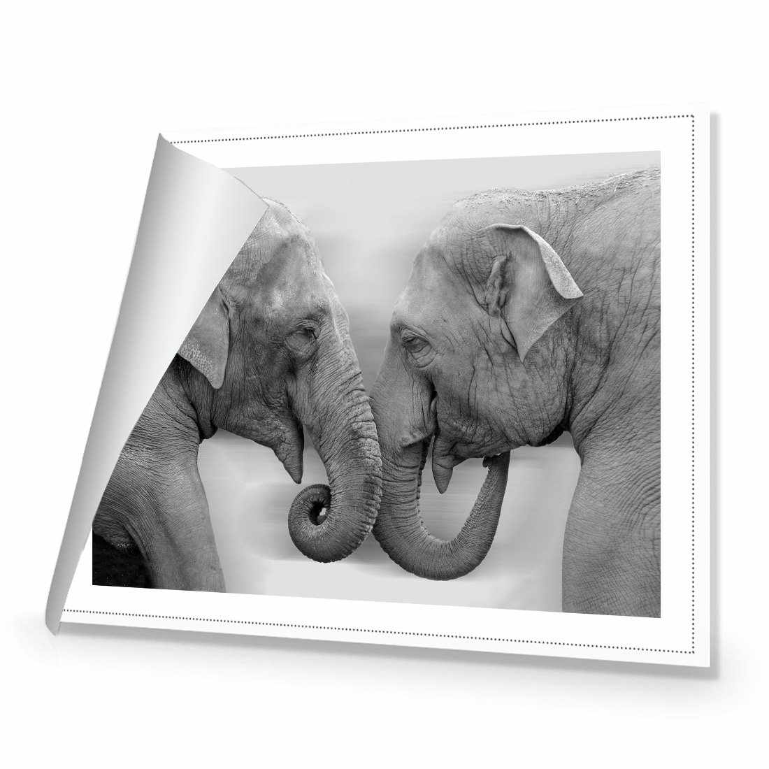 Elephants Kissing, B&W Canvas Art-Canvas-Wall Art Designs-45x30cm-Rolled Canvas-Wall Art Designs