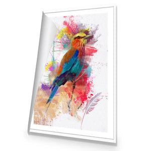 Painted Bird And Feathers | Standard Canvas | No Frame | Rolled Canvas