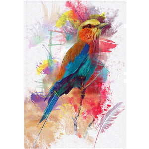 Painted Bird And Feathers