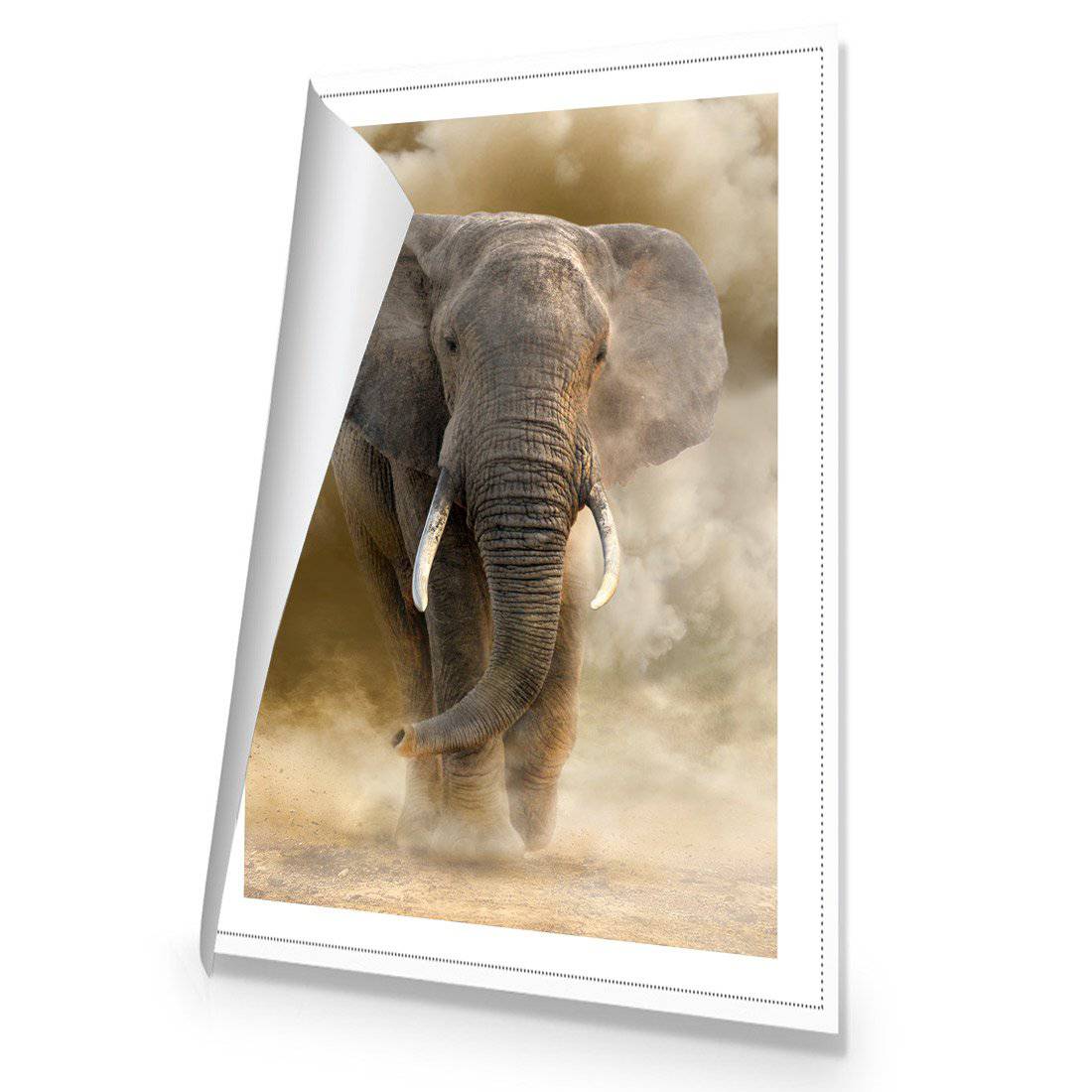 Elephant In Dust Canvas Art-Canvas-Wall Art Designs-45x30cm-Rolled Canvas-Wall Art Designs