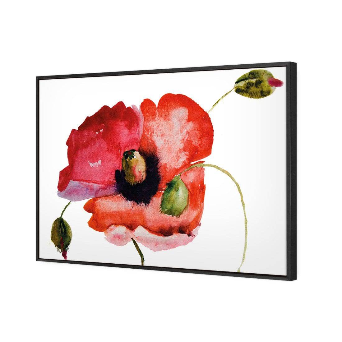 Poppy Buds Canvas Art-Canvas-Wall Art Designs-45x30cm-Canvas - Black Frame-Wall Art Designs
