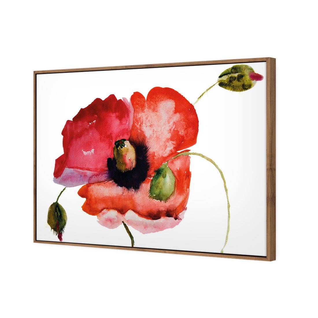 Poppy Buds Canvas Art-Canvas-Wall Art Designs-45x30cm-Canvas - Natural Frame-Wall Art Designs