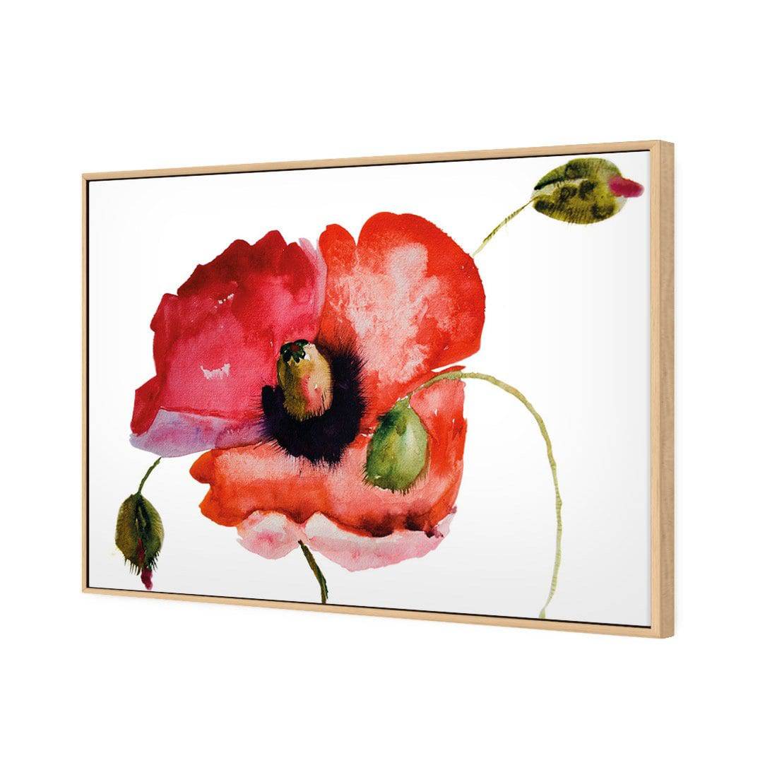 Poppy Buds Canvas Art-Canvas-Wall Art Designs-45x30cm-Canvas - Oak Frame-Wall Art Designs