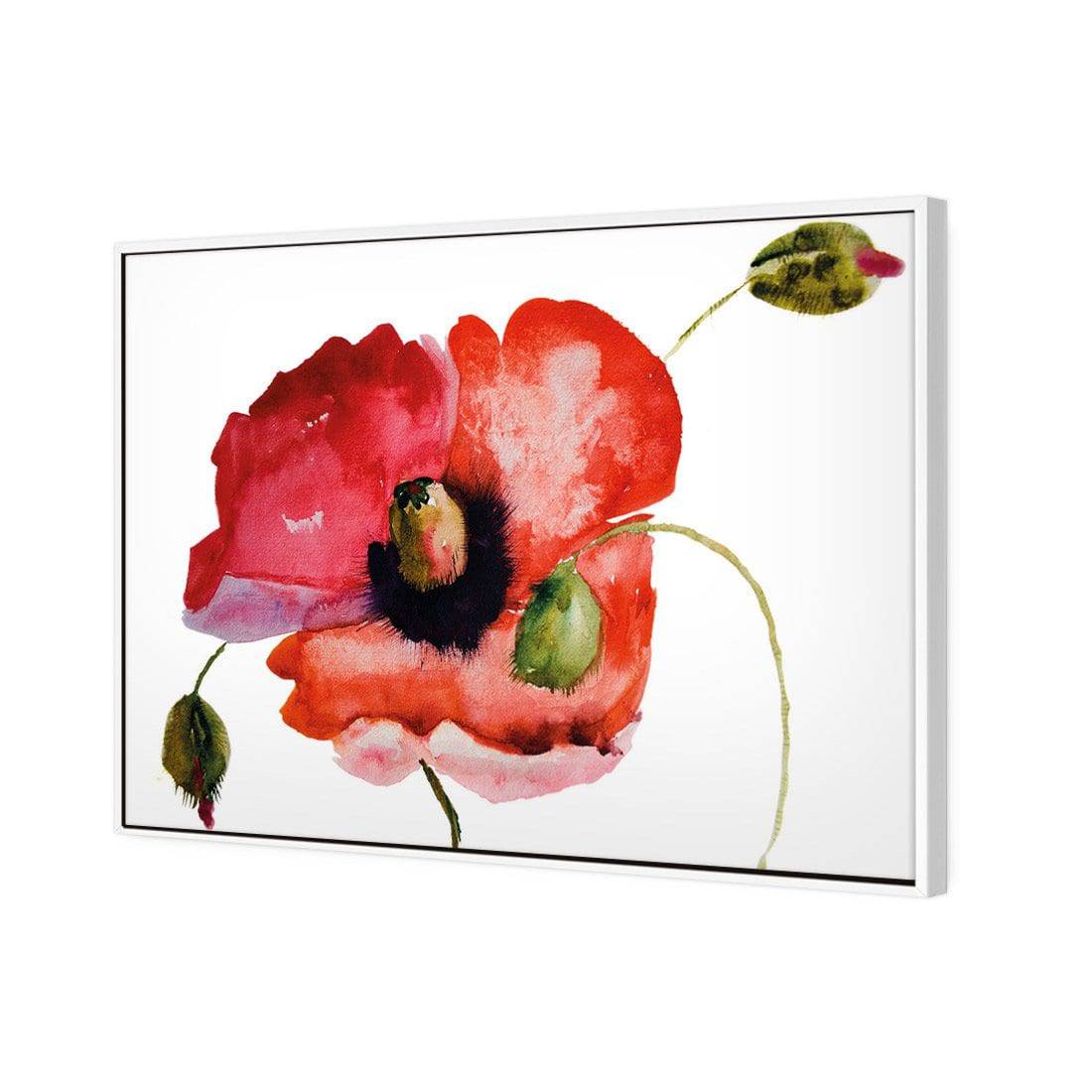 Poppy Buds Canvas Art-Canvas-Wall Art Designs-45x30cm-Canvas - White Frame-Wall Art Designs