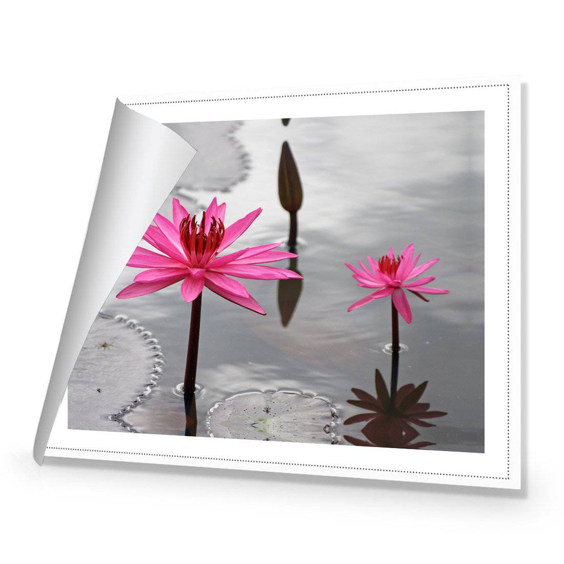 Pop Pink Lilies Canvas Art-Canvas-Wall Art Designs-45x30cm-Rolled Canvas-Wall Art Designs