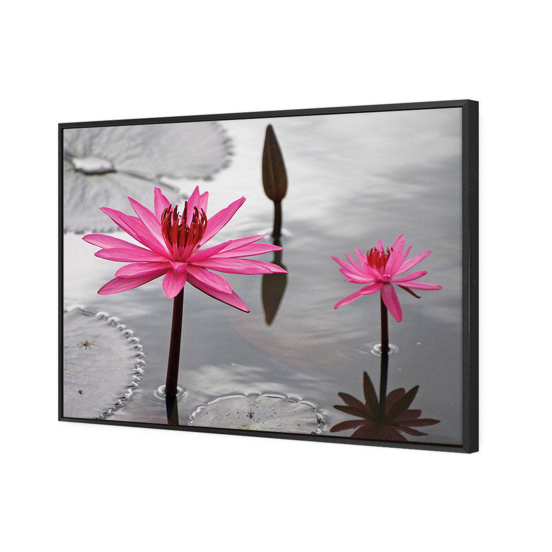 Pop Pink Lilies Canvas Art-Canvas-Wall Art Designs-45x30cm-Canvas - Black Frame-Wall Art Designs