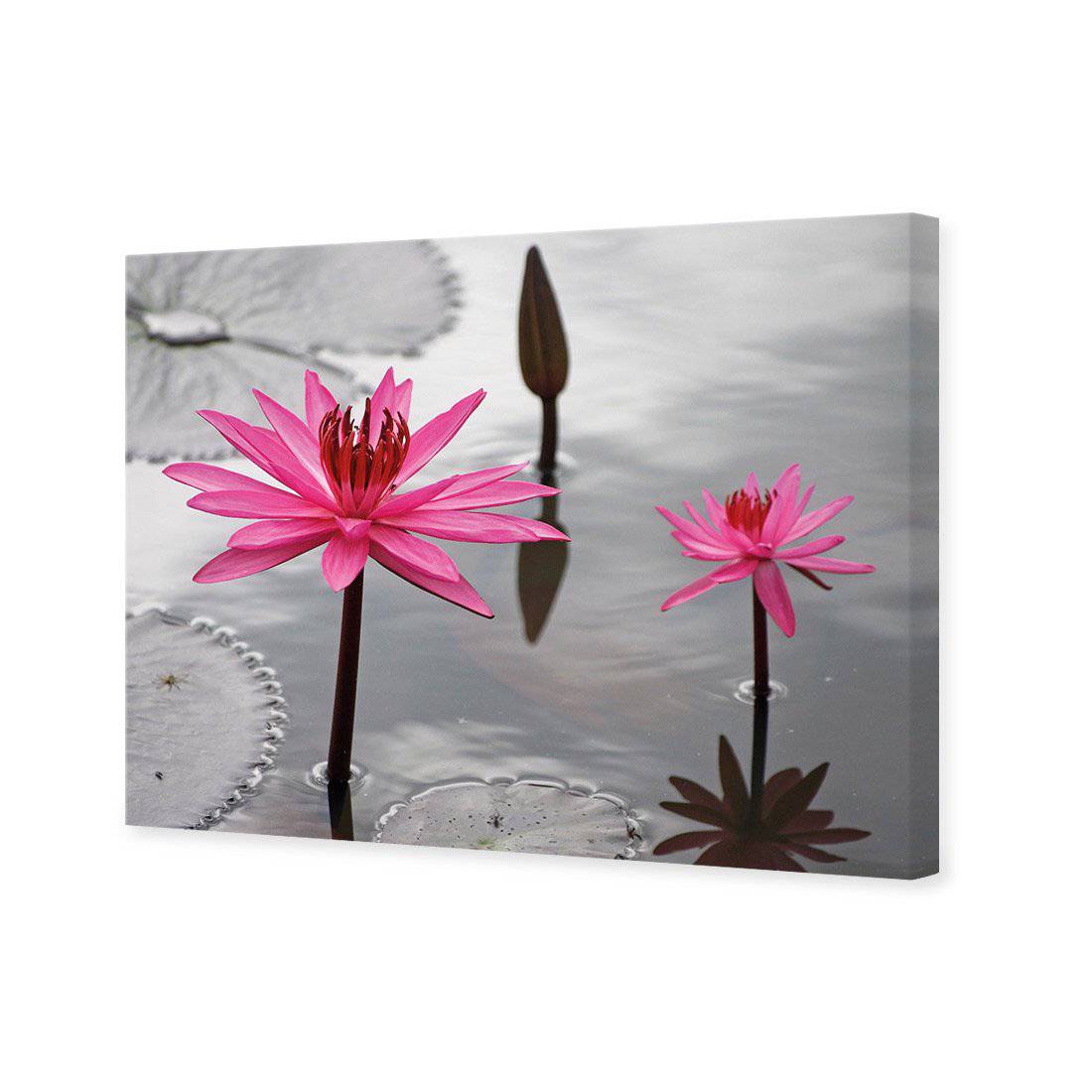 Pop Pink Lilies Canvas Art-Canvas-Wall Art Designs-45x30cm-Canvas - No Frame-Wall Art Designs