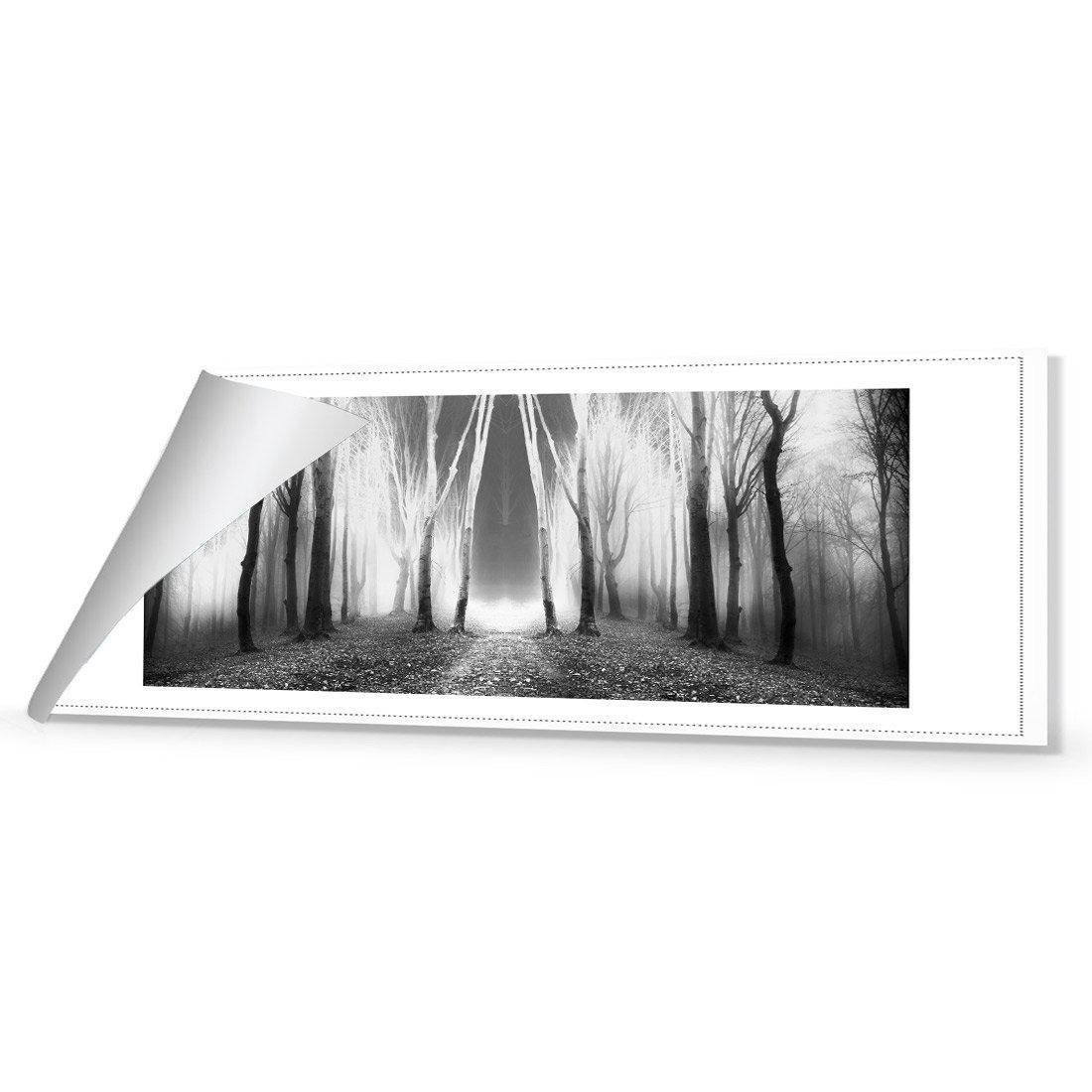 Luminous Forest, B&W Canvas Art-Canvas-Wall Art Designs-60x20cm-Rolled Canvas-Wall Art Designs