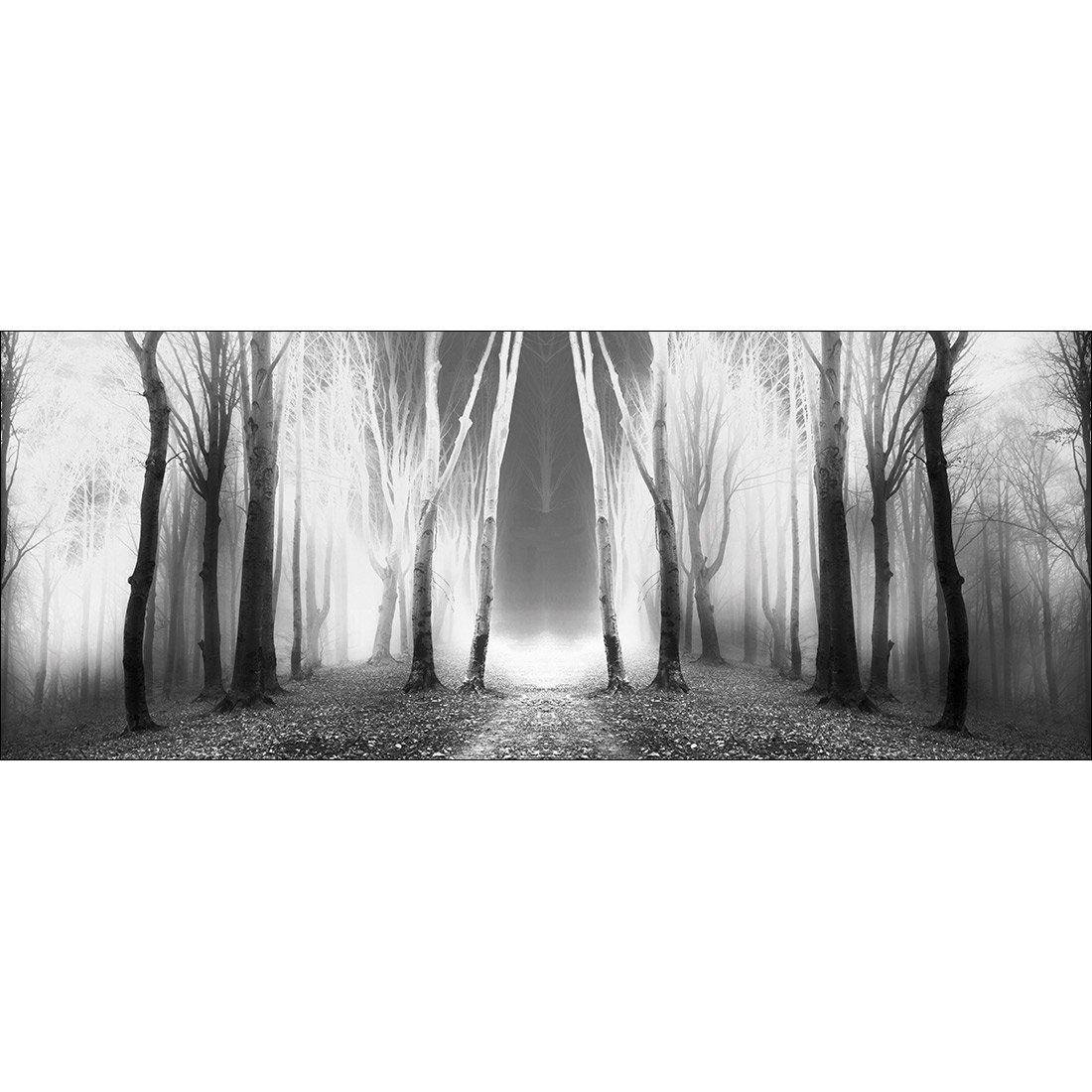 Luminous Forest, B&W Canvas Art-Canvas-Wall Art Designs-60x20cm-Canvas - No Frame-Wall Art Designs