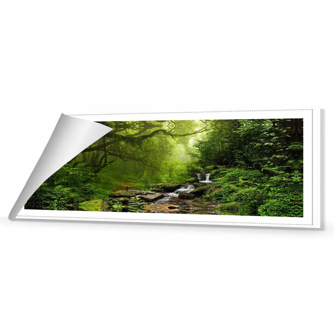 Romantic Rainforest Canvas Art-Canvas-Wall Art Designs-60x20cm-Rolled Canvas-Wall Art Designs