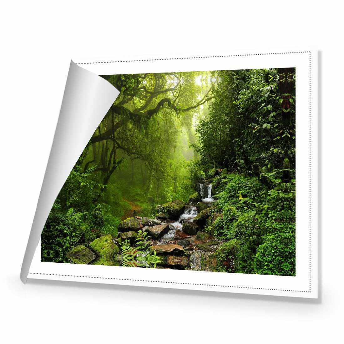 Romantic Rainforest Canvas Art-Canvas-Wall Art Designs-45x30cm-Rolled Canvas-Wall Art Designs