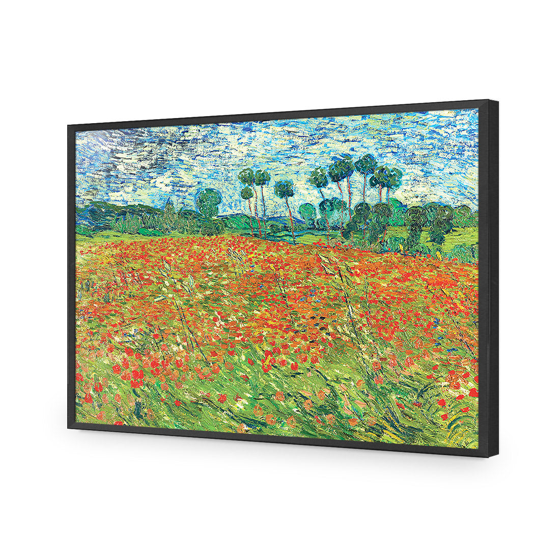 Poppy Field - Van Gogh Acrylic Glass Art
