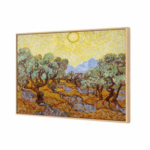 Olive Trees by Van Gogh | Classic Canvas | Floating Frame | Oak