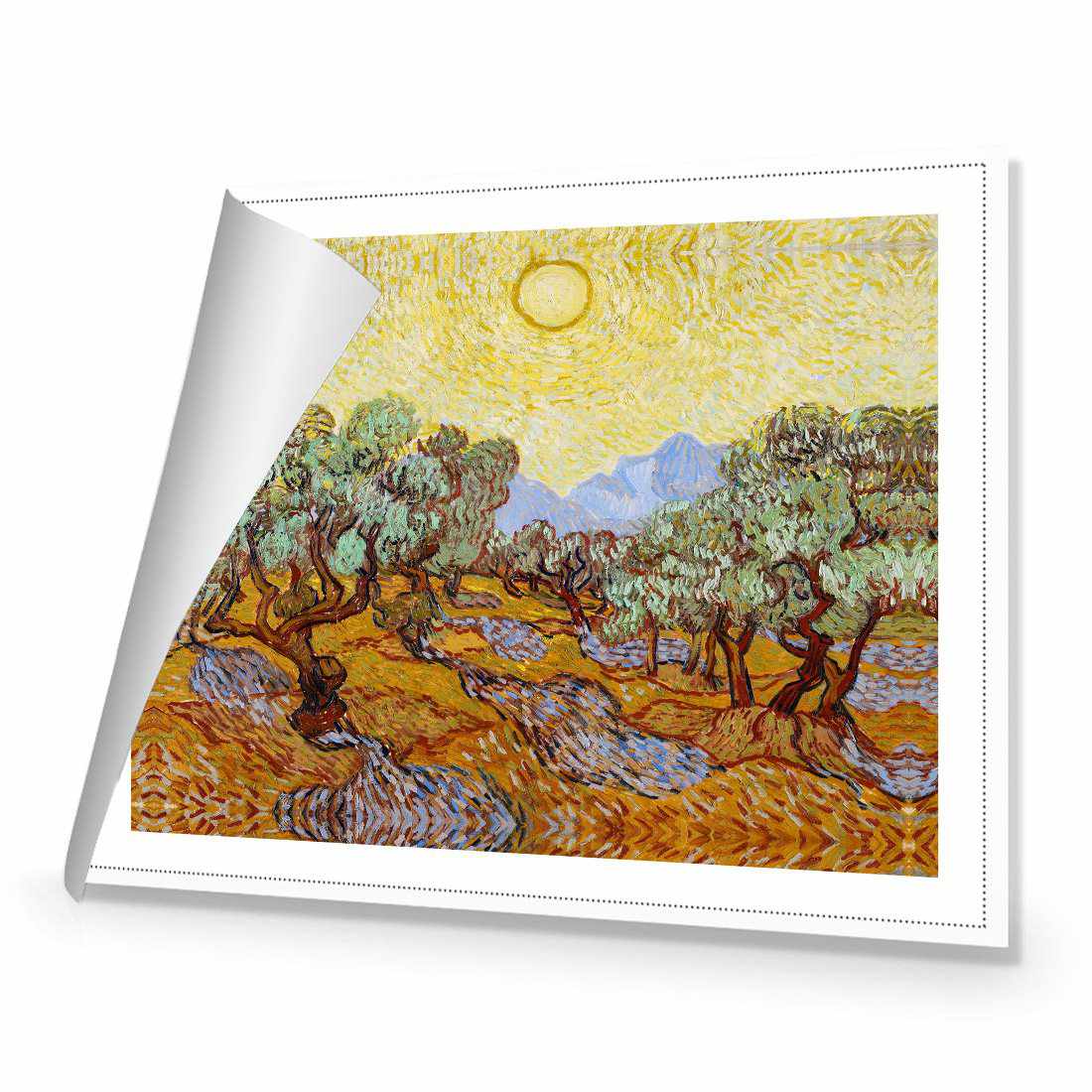 Olive Trees - Van Gogh Canvas Art-Canvas-Wall Art Designs-45x30cm-Rolled Canvas-Wall Art Designs