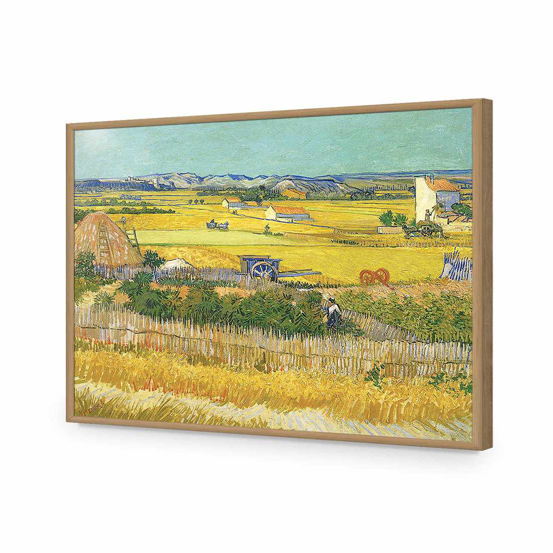 Harvest - Van Gogh-Acrylic-Wall Art Design-Without Border-Acrylic - Oak Frame-45x30cm-Wall Art Designs
