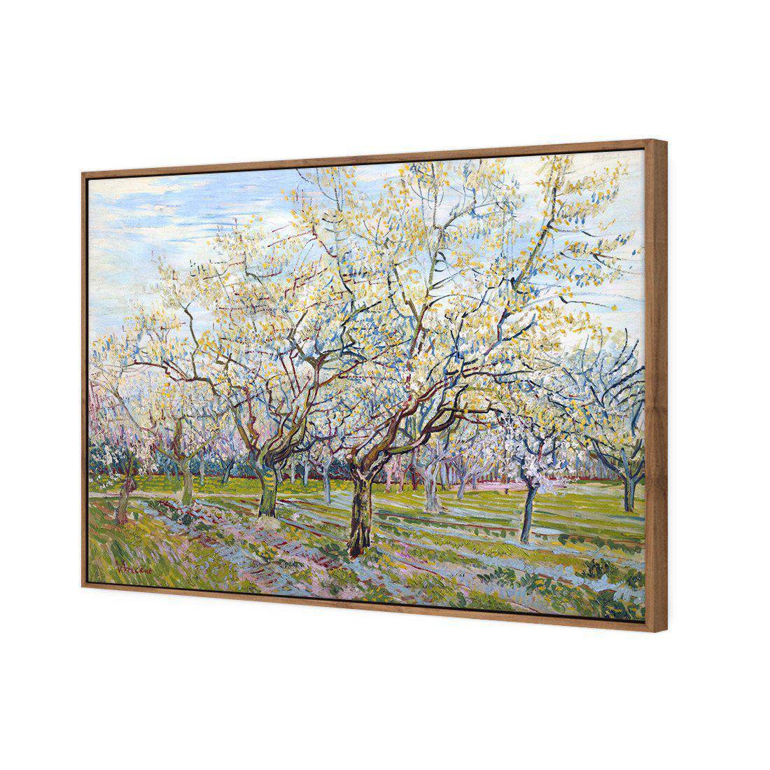 Van Gogh - The White Orchard Canvas Art-Canvas-Wall Art Designs-45x30cm-Canvas - Natural Frame-Wall Art Designs
