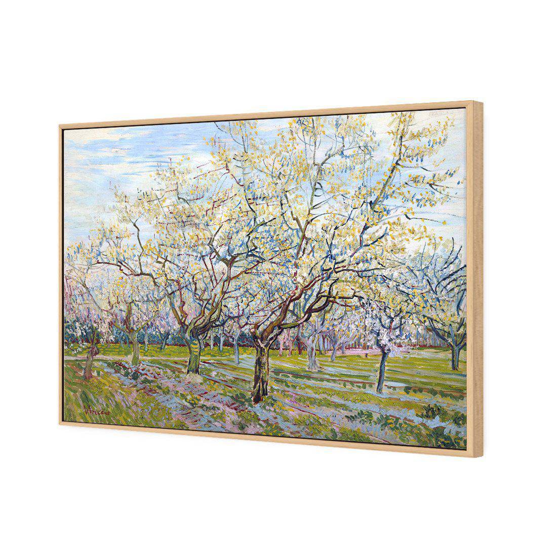 Van Gogh - The White Orchard Canvas Art-Canvas-Wall Art Designs-45x30cm-Canvas - Oak Frame-Wall Art Designs
